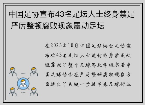 中国足协宣布43名足坛人士终身禁足 严厉整顿腐败现象震动足坛 中国足协宣布43名足坛人士终身禁足 严厉整顿腐败现象震动足坛