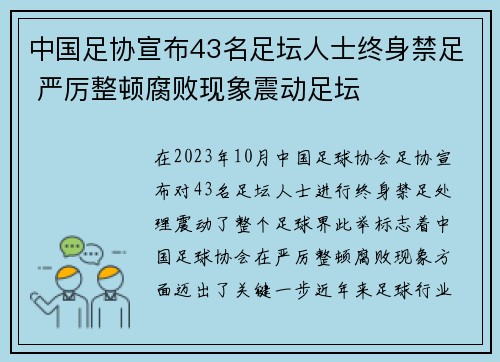 中国足协宣布43名足坛人士终身禁足 严厉整顿腐败现象震动足坛 中国足协宣布43名足坛人士终身禁足 严厉整顿腐败现象震动足坛
